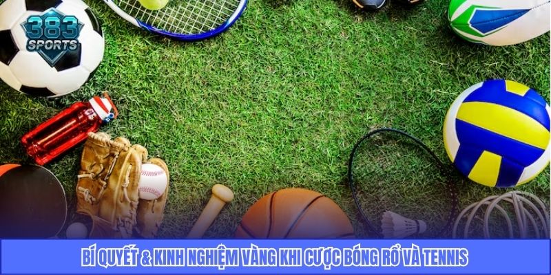 Bí quyết & kinh nghiệm vàng khi cược bóng rổ và tennis