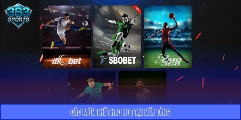 Các môn thể thao hot tại nền tảng